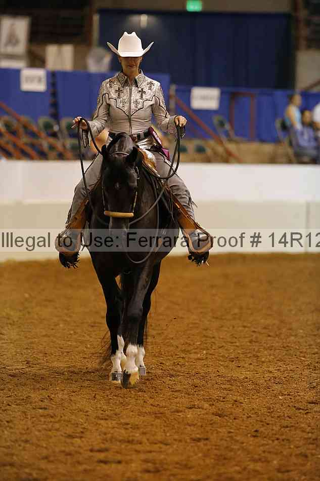 Proof 14r12_3003