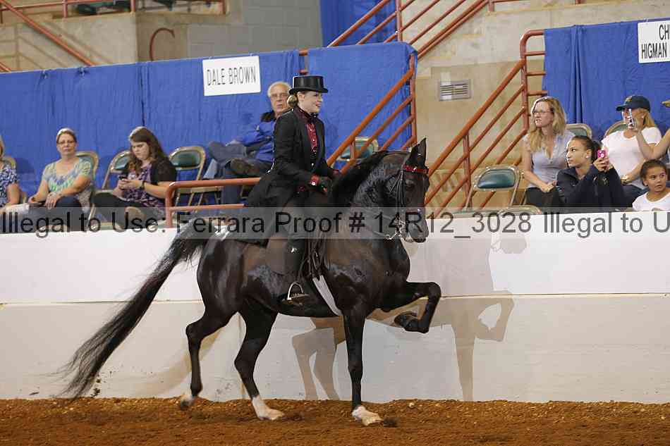 Proof 14r12_3028