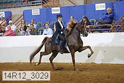 14r12_3029 proof