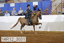 14r12_3031 proof