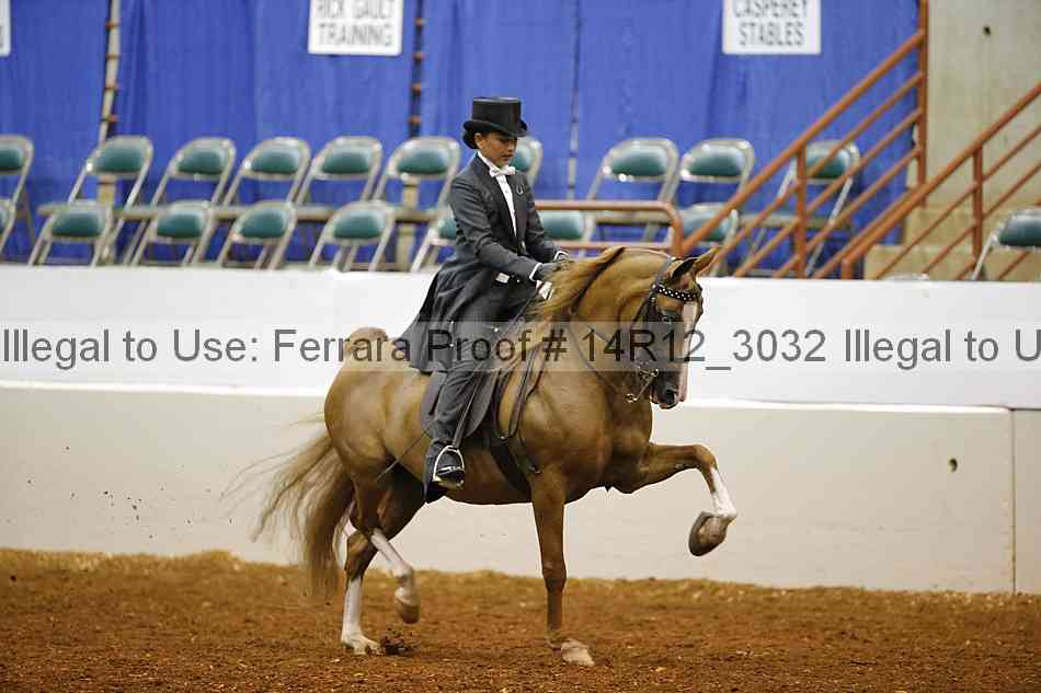 Proof 14r12_3032