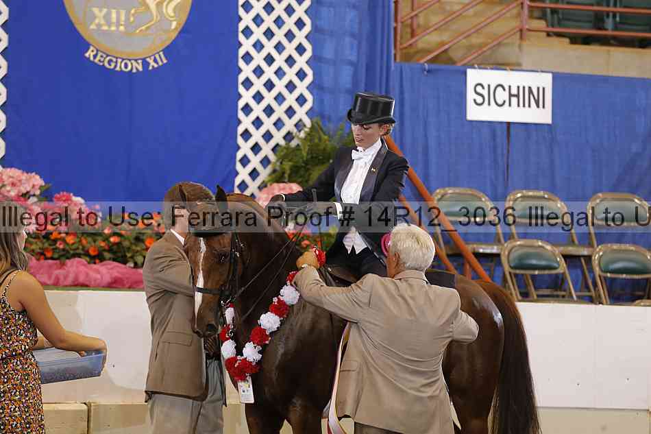 Proof 14r12_3036