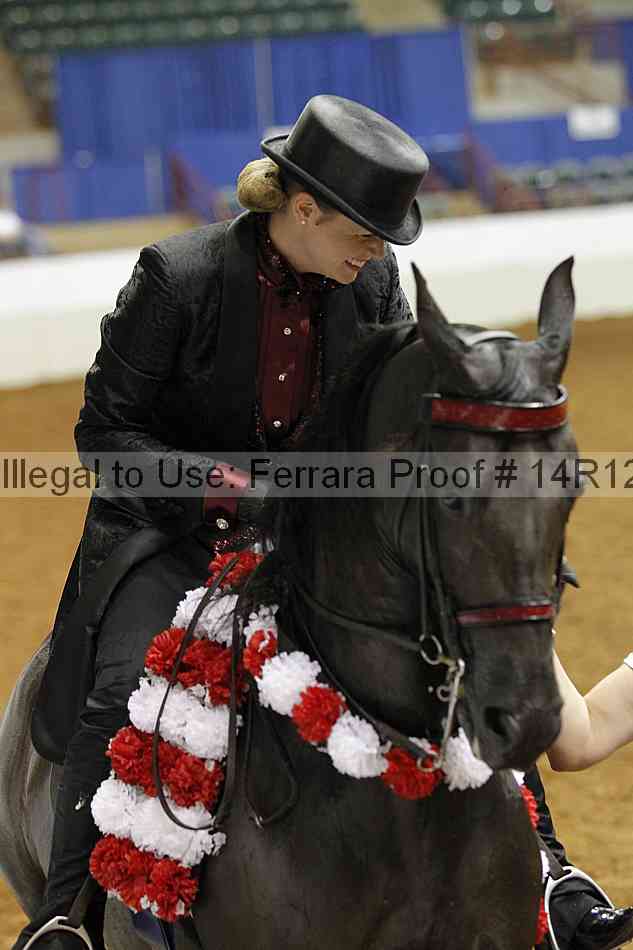 Proof 14r12_3045