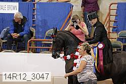 14r12_3047 proof
