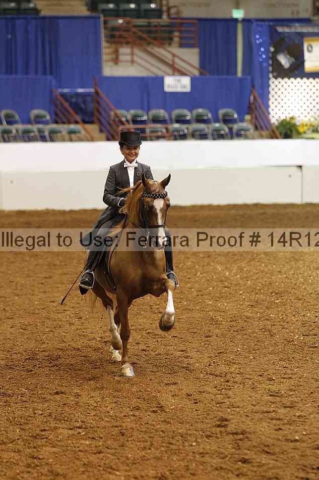 Proof 14r12_3049