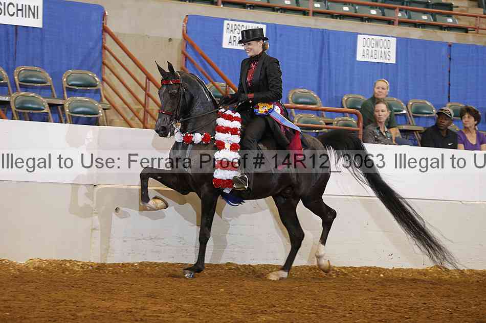 Proof 14r12_3063