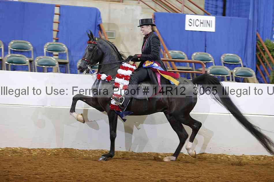 Proof 14r12_3065