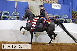 14r12_3065 proof