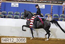 14r12_3066 proof
