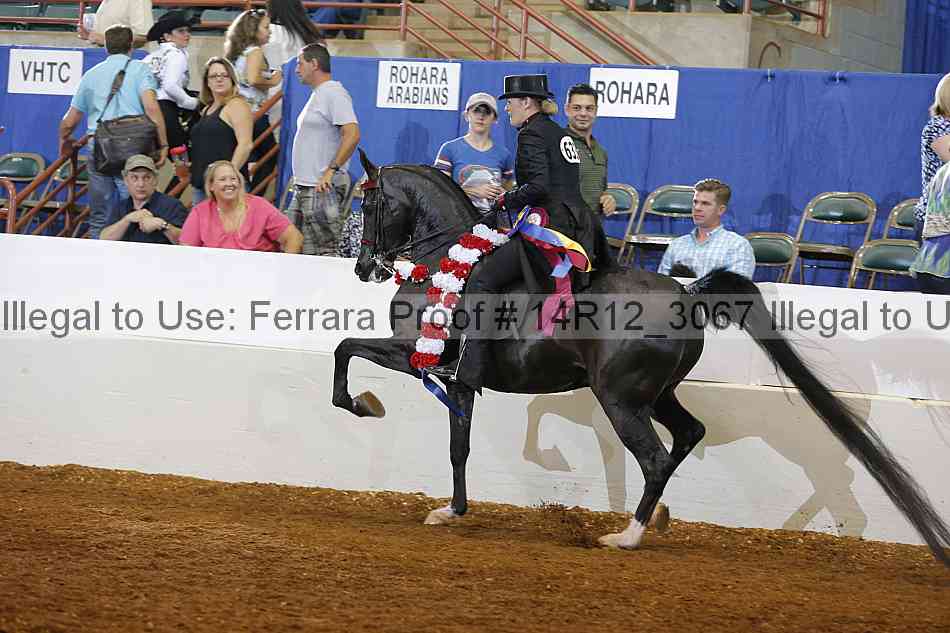 Proof 14r12_3067
