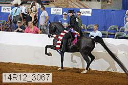 14r12_3067 proof