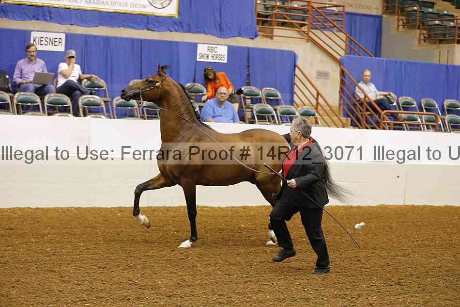 Proof 14r12_3071
