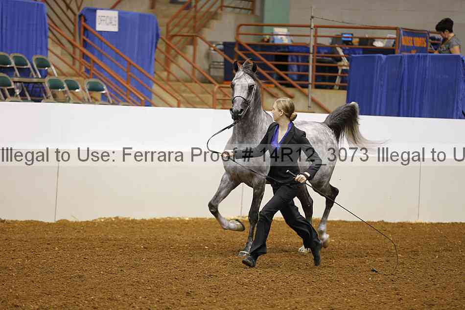 Proof 14r12_3073