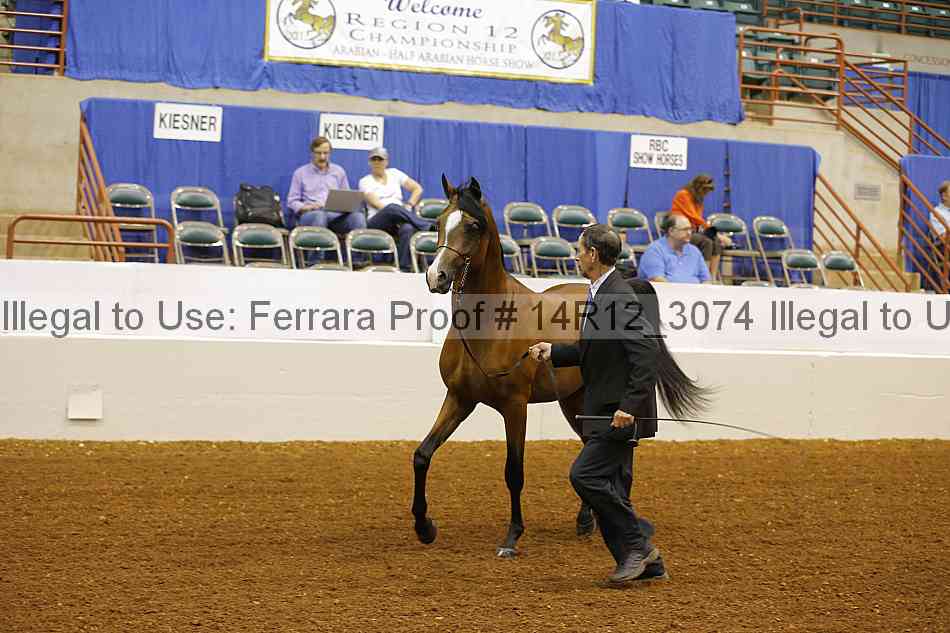 Proof 14r12_3074