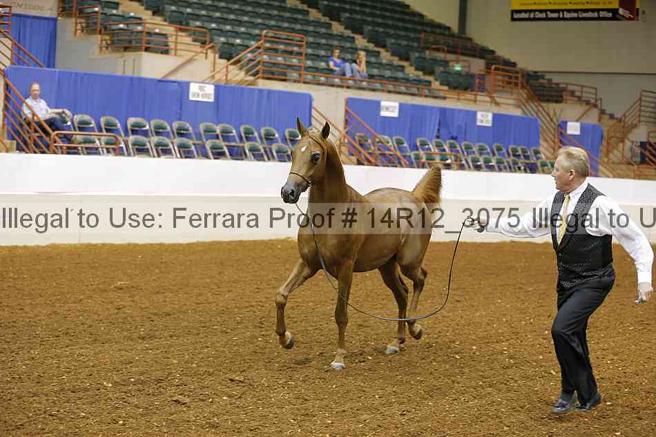 Proof 14r12_3075