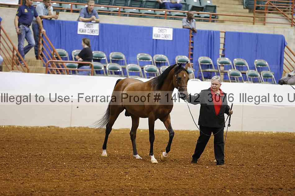 Proof 14r12_3076