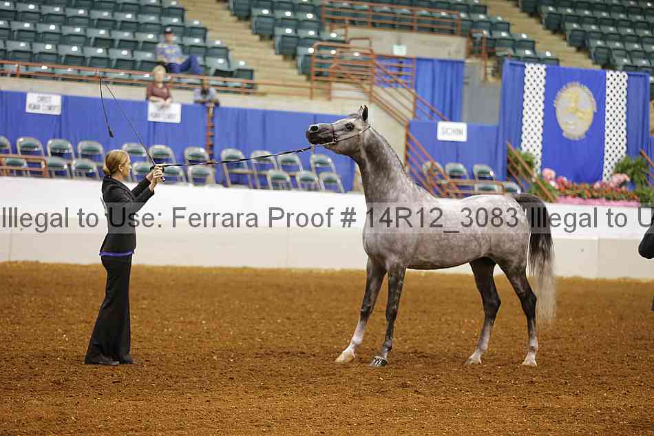 Proof 14r12_3083