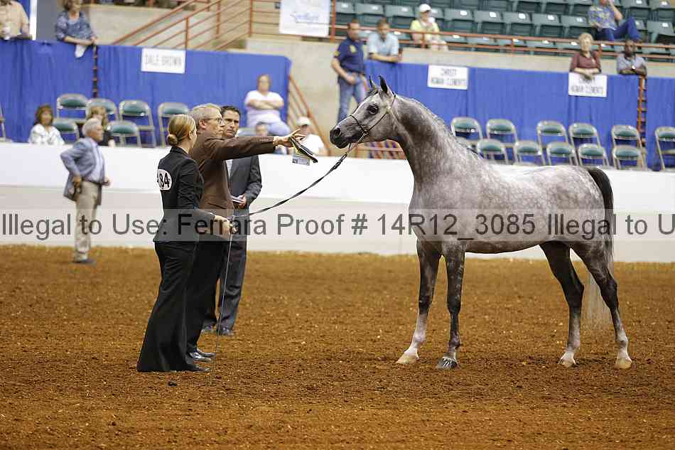 Proof 14r12_3085
