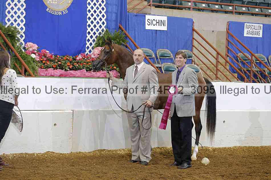 Proof 14r12_3095