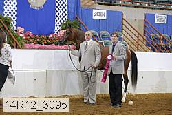 14r12_3095 proof