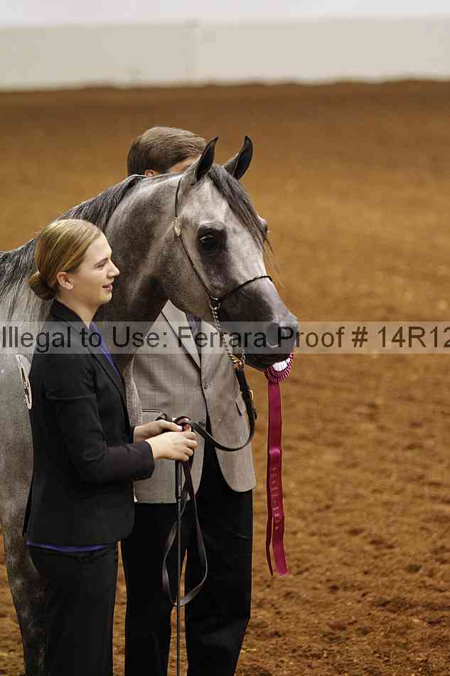 Proof 14r12_3096