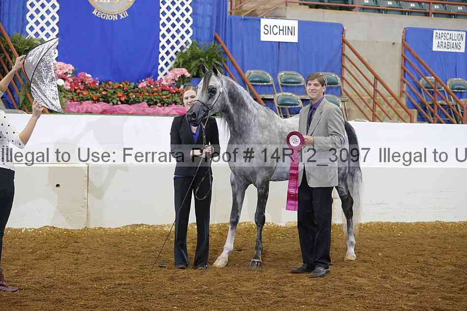 Proof 14r12_3097