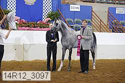 14r12_3097 proof