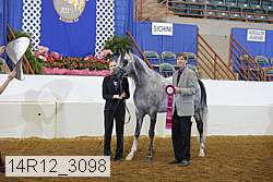 14r12_3098 proof