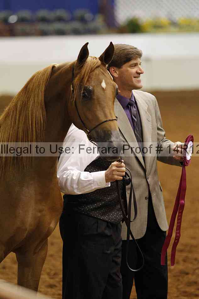 Proof 14r12_3099