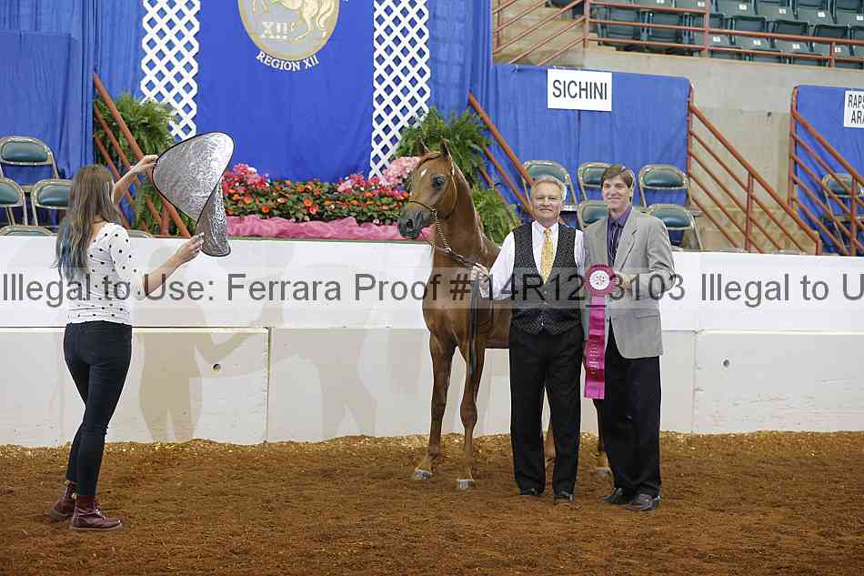 Proof 14r12_3103