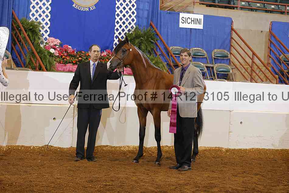 Proof 14r12_3105