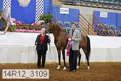 14r12_3109 proof