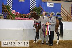 14r12_3112 proof