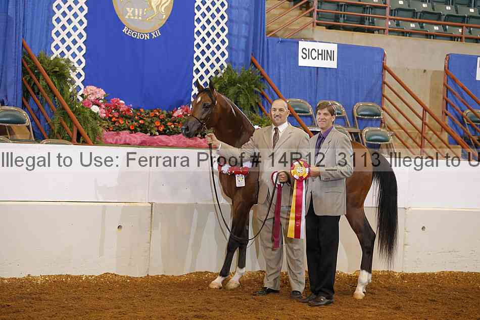 Proof 14r12_3113