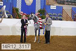 14r12_3117 proof