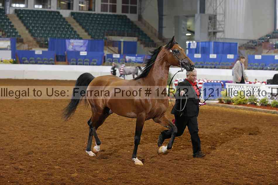 Proof 14r12_3121