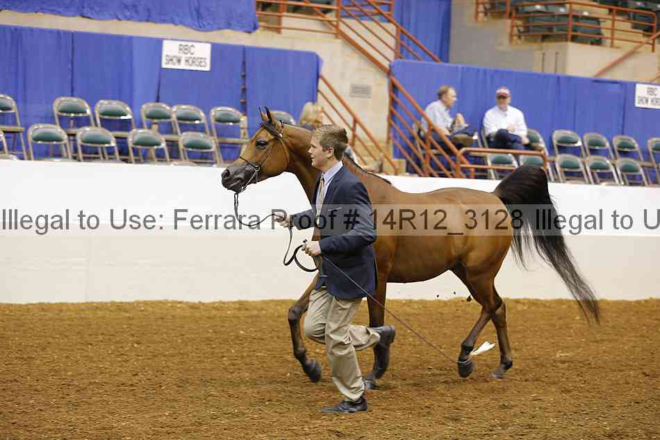 Proof 14r12_3128