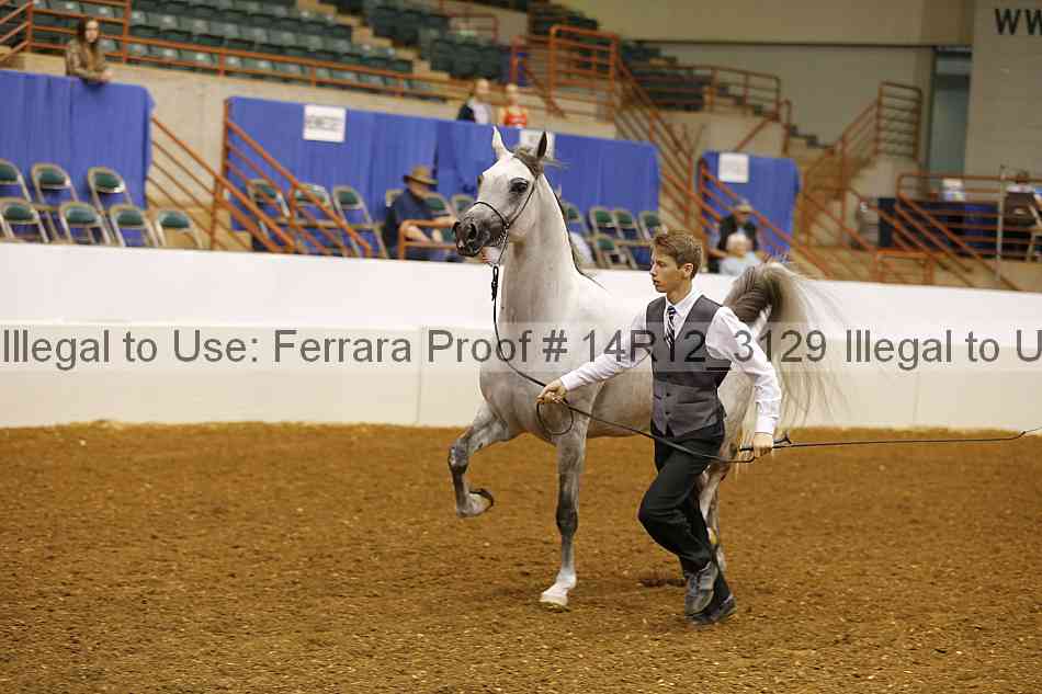 Proof 14r12_3129