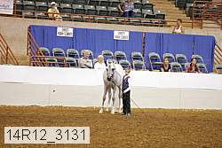14r12_3131 proof