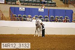 14r12_3132 proof