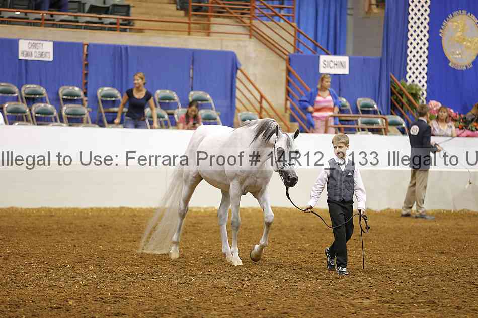 Proof 14r12_3133