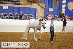 14r12_3133 proof