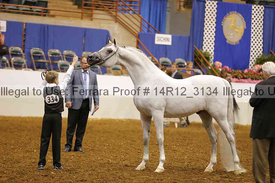 Proof 14r12_3134