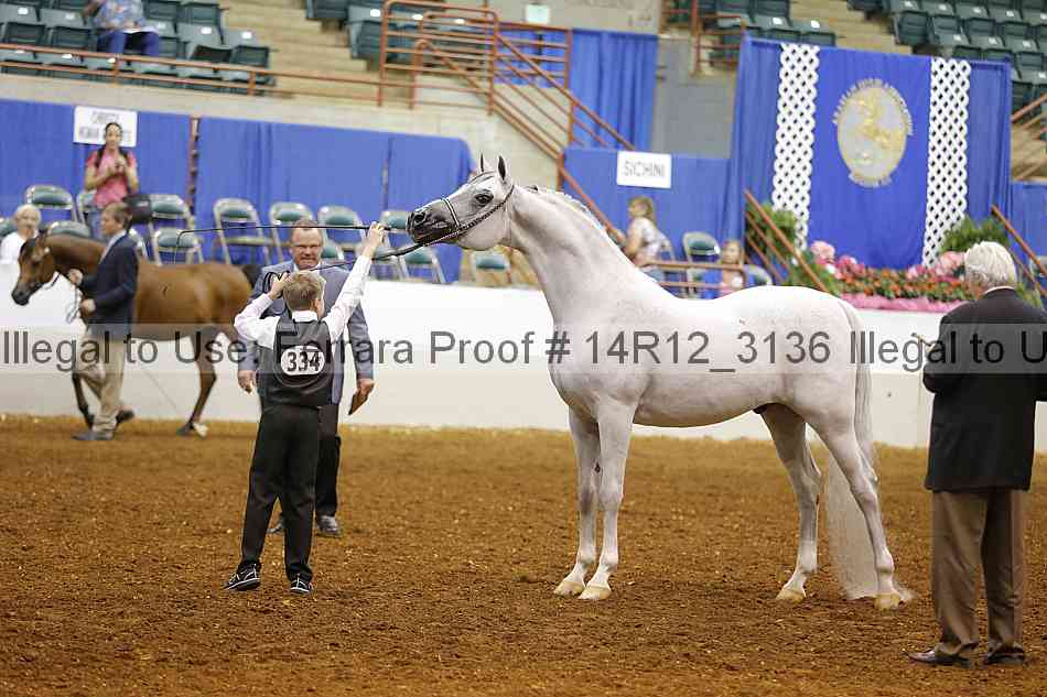 Proof 14r12_3136