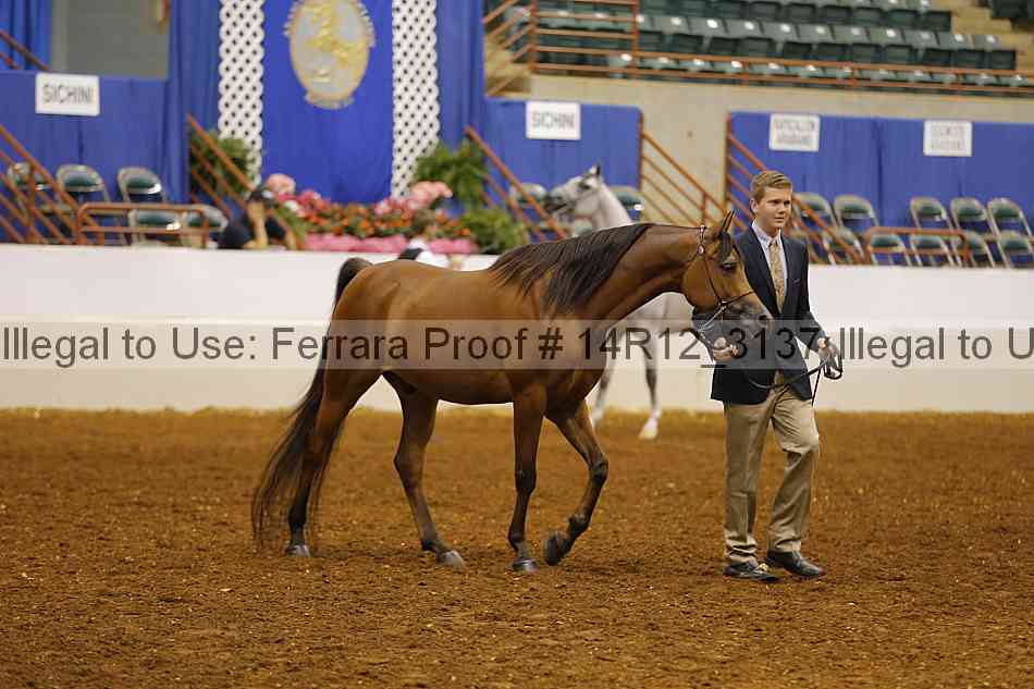 Proof 14r12_3137