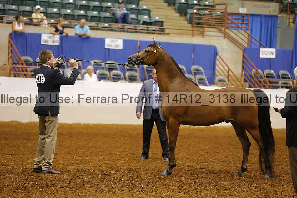 Proof 14r12_3138