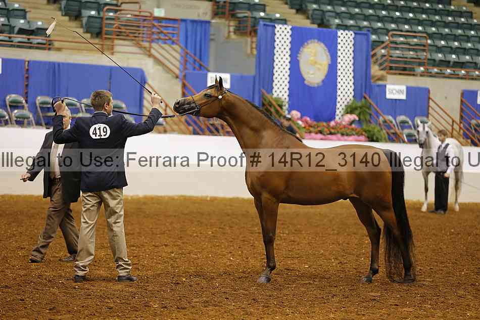 Proof 14r12_3140