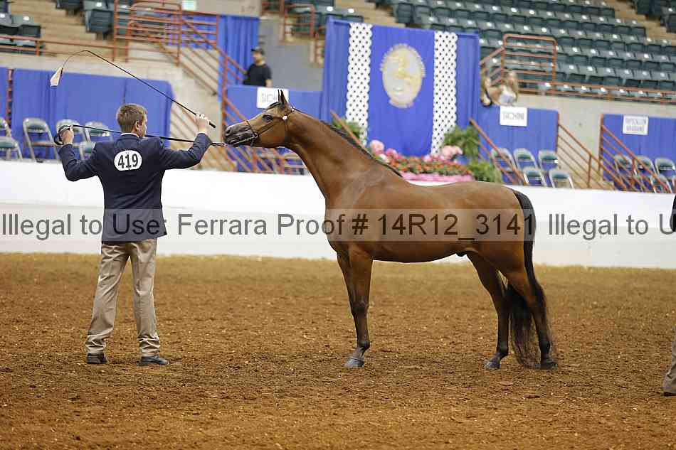 Proof 14r12_3141