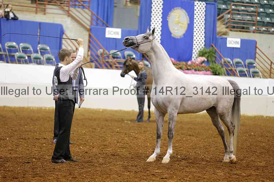 Proof 14r12_3142