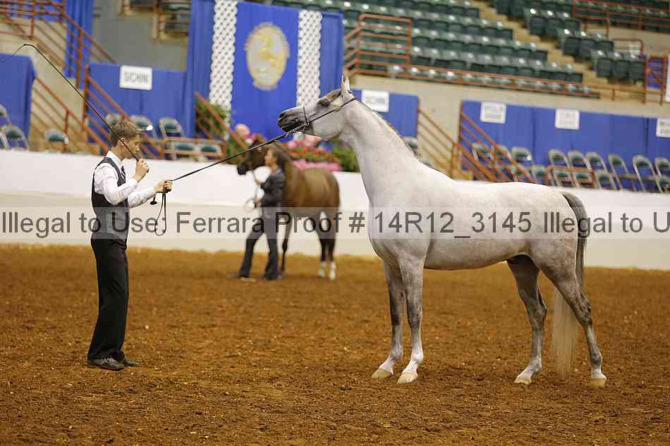 Proof 14r12_3145